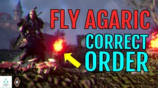Correct Brazier Order in Flying Agaric World Event | Assassin's Creed Valhalla Walkthrough