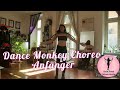 Dance Monkey - Anfänger Choreo 🇩🇪
