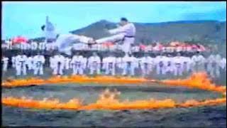 Download lagu Iklan Fatigon 2011 (TVC)