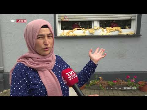 Almanya'da Türk aileye ırkçı saldırı