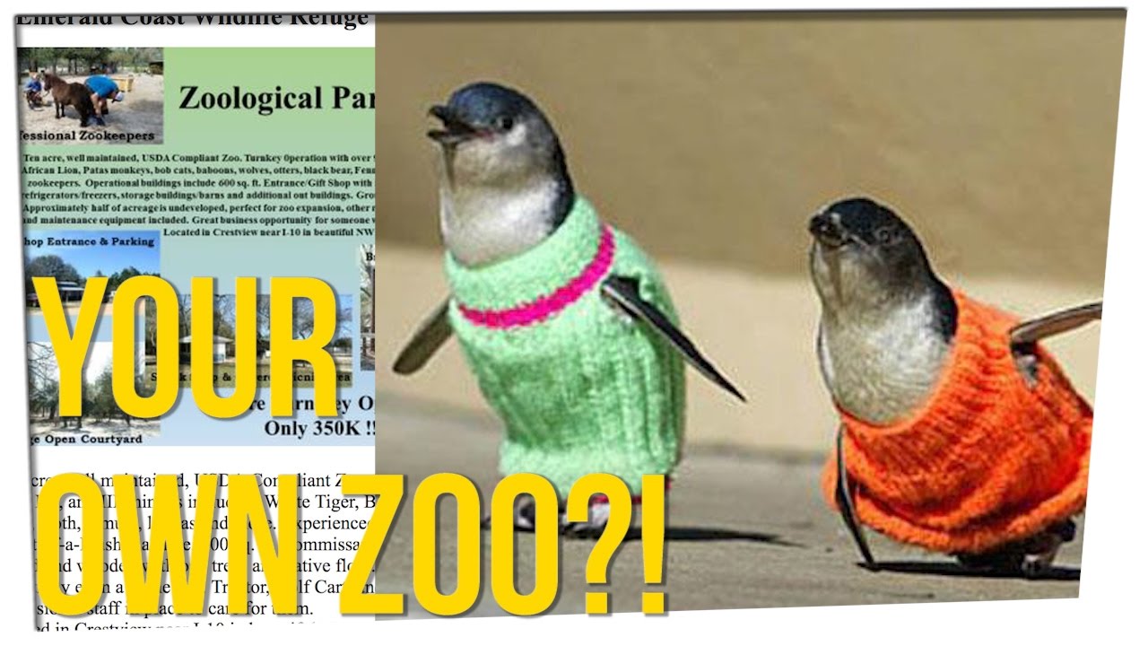 Entire zoo for sale on craigslist ft steve greene nikki limo youtube
