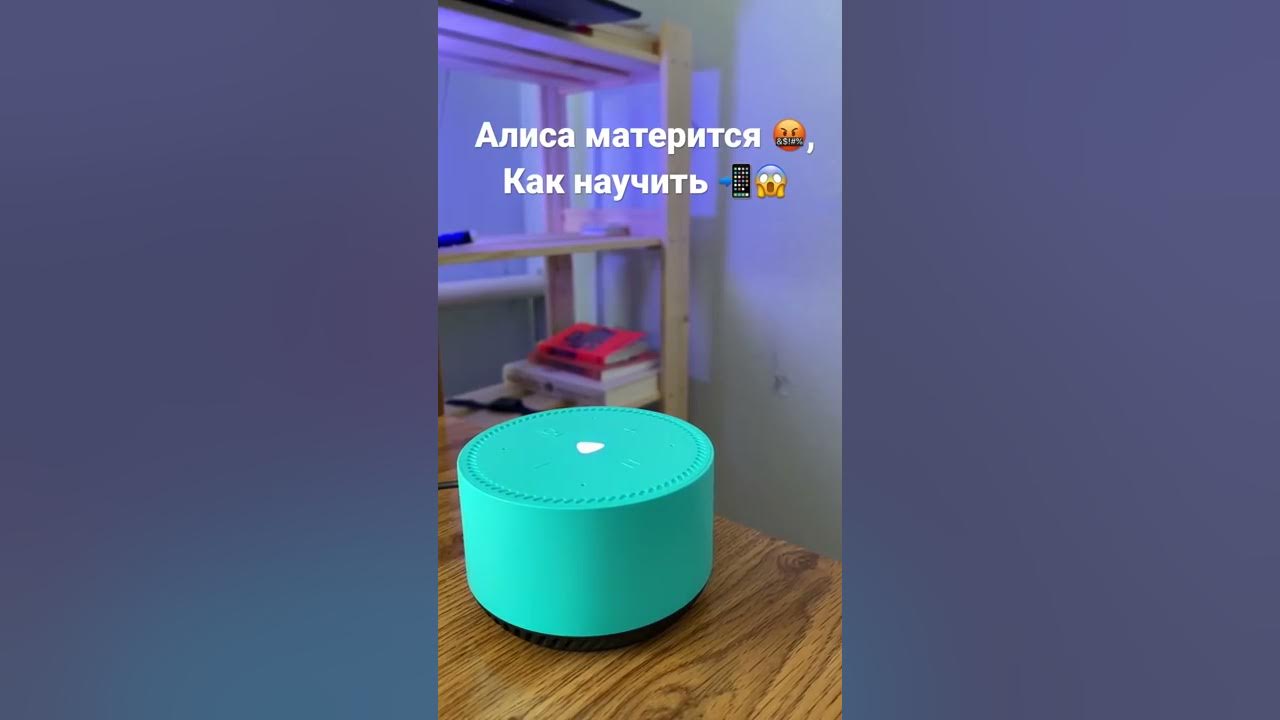 Видео алиса ругается с алисой. Матерится на алиса колонку. Видео алиса ругается с алисой. Алиса и сири разговаривают. Видео алиса ругается с алисой.