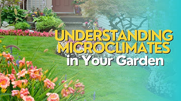 Understanding Microclimates in Your Garden