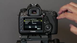 How I Set Up the Canon 5D Mark IV DSLR for Photography