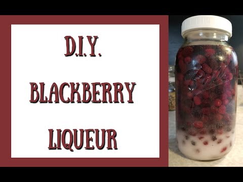 DIY Blackberry Liqueur ~ Homestead Corner