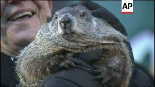 Groundhog makes annual weather prediction