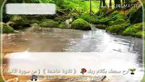 🌱ارح سمعك بكلام ربك🥀  《تلاوة خاشعة》 { من سورة الأنبياء} 🎤للقارئ محمد بن سالم حفظه الله🎧