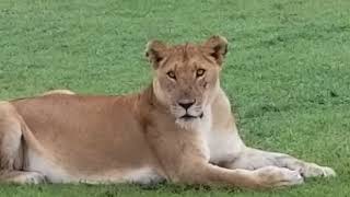 20180314 075737 hurt female 1