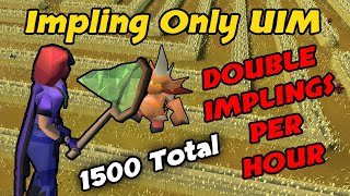 1500 Total DOUBLES Dragon Implings Per Hour - Impling Only UIM (#38)