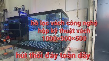 Bản cập nhật/ hồ lọc vách công nghệ/ aquarium design vt