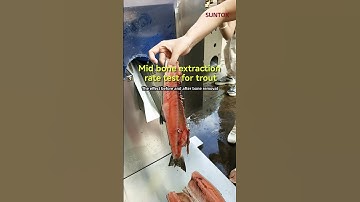 Fish Filleting Machine for Trout