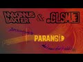Miniature de la vidéo de la chanson Paranoid