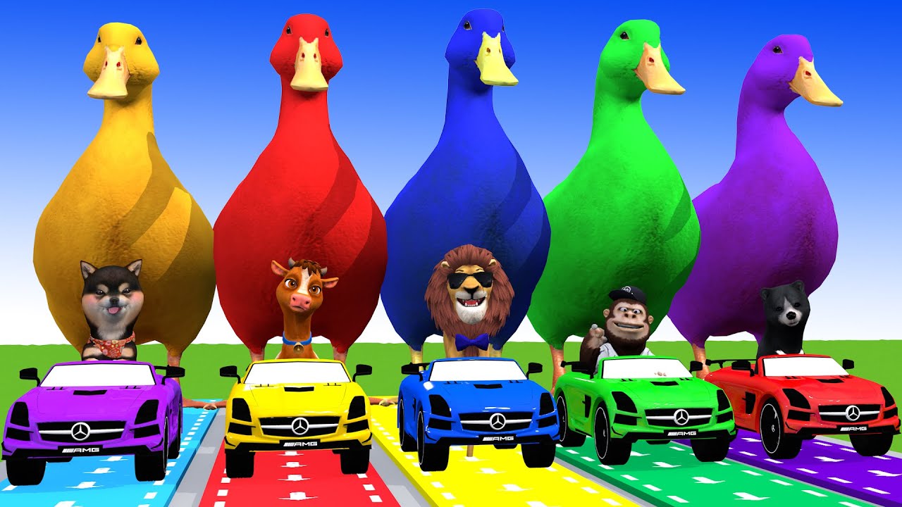 5 Giant Duck Cartoon,Tiger,Bear,Duck,Dinosaur,Mammoth Paint Wild Animals Crossing Fountain Animation