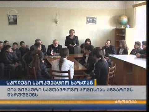 ლია გიგაური სამთავრობო კომისიას ანგარიშს წარუდგენს