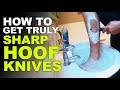 CUTTING FEET and SHAVING with KNIVES! | The Hoof GP