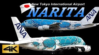 【4K 60P】Special !! 4K 3.5Hour!! in Narita Airport 2019 the Amazing Airport | Plane Spotting