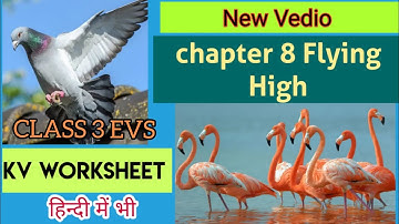 EVS Class 3 Flying High,KV worksheet solution in hindi,ncert class 3 chapter 8 evs,flying high evs