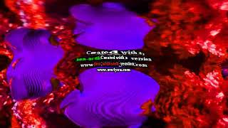 Round 3 Vs Polory The Bear