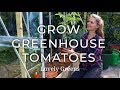 How to grow Greenhouse Tomatoes