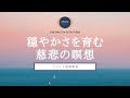 【瞑想 10分】穏やかな心を育む慈悲の瞑想｜ココイマ｜誘導瞑想