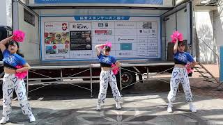 【3/1Chow Flow!】one-way runway/CIRRA