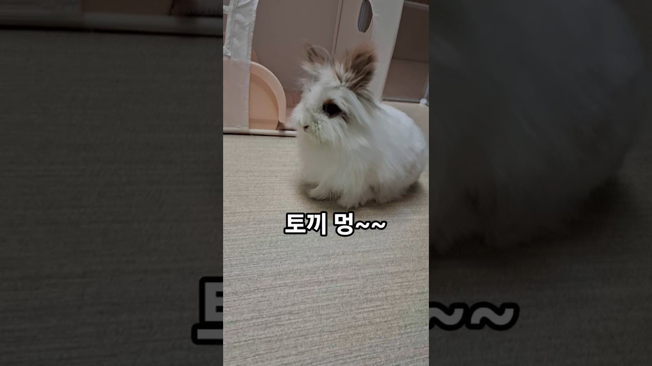 🥰어딜 보고 있니 - YouTube