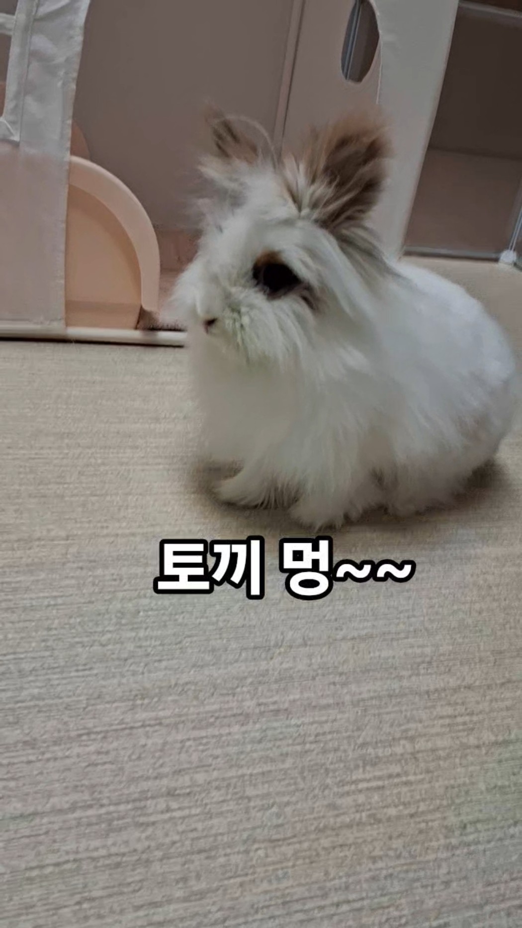 🥰어딜 보고 있니 - YouTube