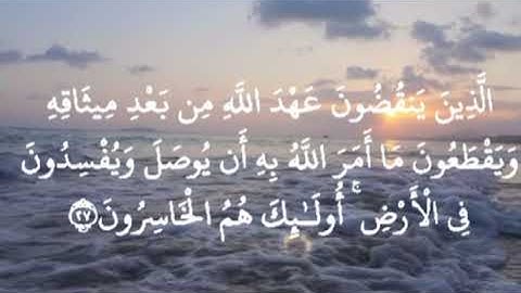سورة البقرة من الآية (٢٥) إلى الآية (٢٩) صفحة رقم (٥) بالمصحف الشريف بصوت الشيخ مشاري العفاسي