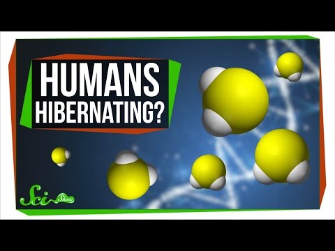 Will Humans Ever Be Able to Hibernate? thumbnail