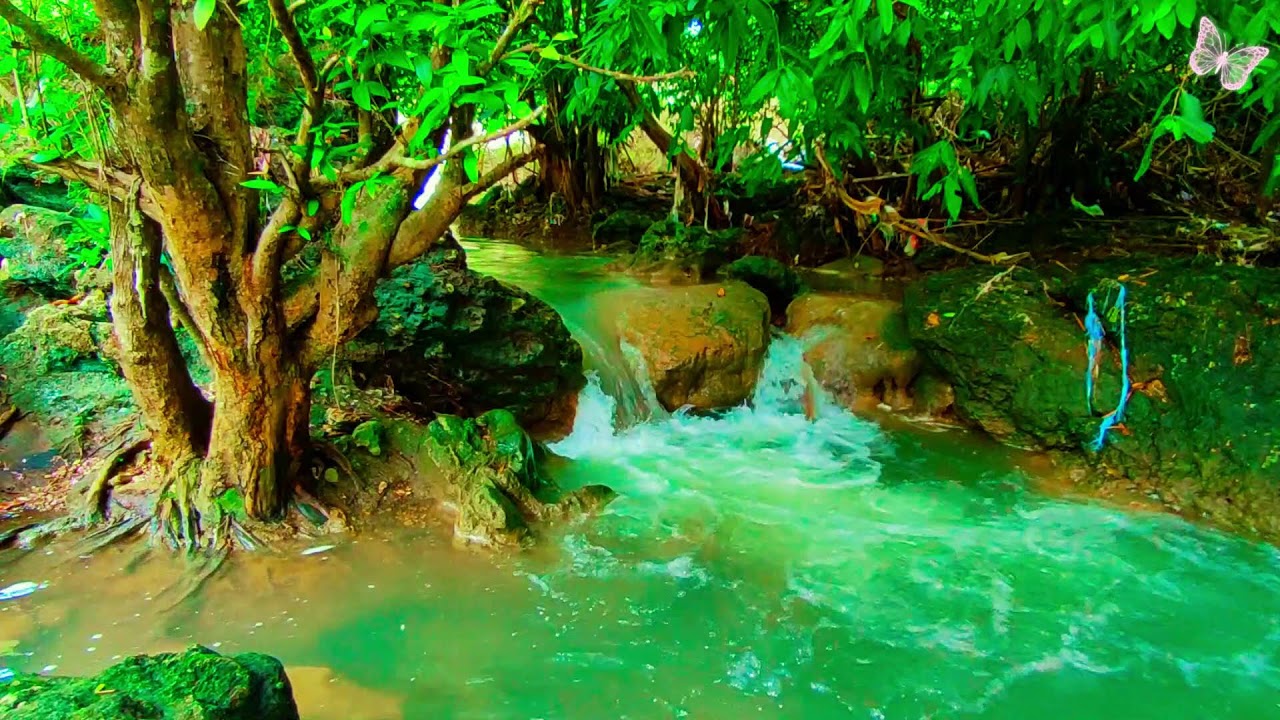 Relaxing Music For Stress Relief, Anxiety and Depressive States🌲Heal Mind, Body and Soul 73