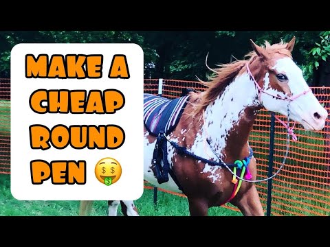 How To Build A Round Pen CHEAP!