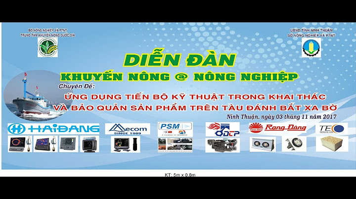 Ninh thuận có bao nhiêu tàu đánh bắt xa bờ năm 2024