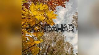 Free Beat Sonbahar Autumn