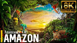 Amazon Jungle 8K ULTRA HD  Wild Animals of Amazon Rainforest  Nature Amazon Animals