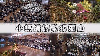 【Life Wisdom】20210128 - Walking the Tzu Chi Path with Faith