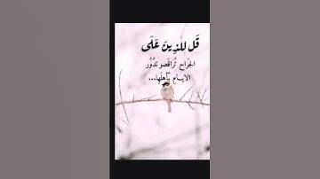 سورةالإخلاص10ثوان إسمعها ثلاث تساوي ختم القرآن الكريم