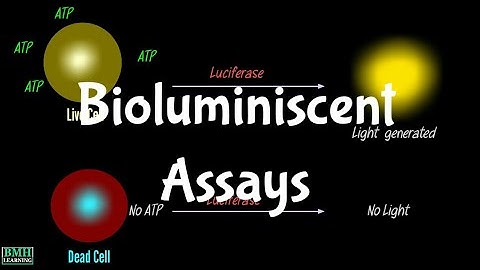 Bioluminiscent Assays  | ATP Bioluminiscent Assays | Bioluminiscent Assays For Cell Viability |