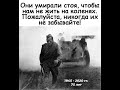 К ДНЮ ПАМЯТИ И СКОРБИ. &quot;Не будите русского медведя!&quot; Константин Фролов-Крымский.Читает С. Косточко