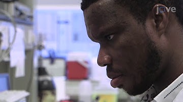 CARDIOVASCULAR MEDICINE RESEARCH: CARDIO-METABOLIC SYNDROME