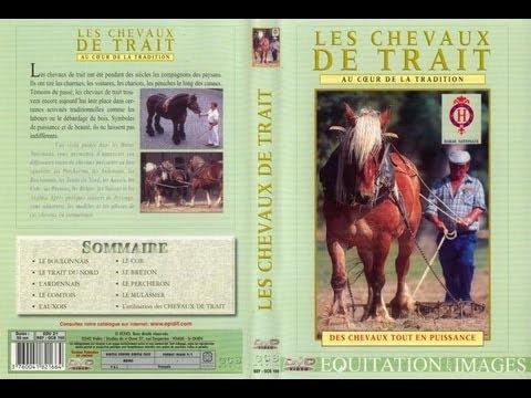 l utilisation des chevaux de traits et traditions l utilisation des chevaux de traits et traditions