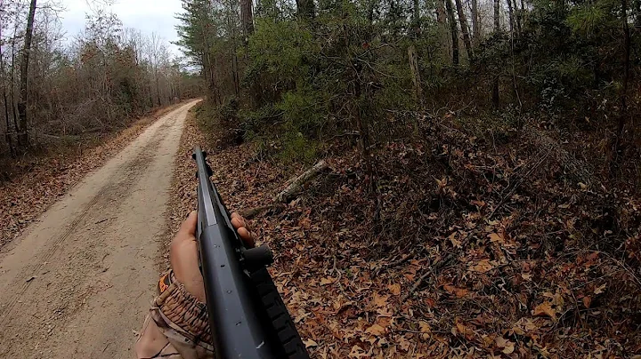 Deer Hunting With Dogs!! Multiple Kill Shots!!! W....