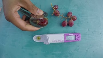 HORIBA LAQUAtwin Grape Testing