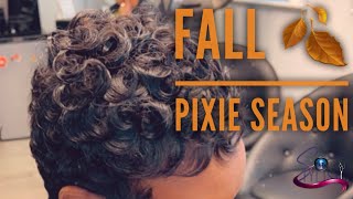 Pixie Cut/ Fall Review