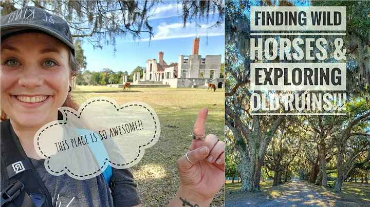My Solo Day Exploring CUMBERLAND ISLAND NATIONAL S...
