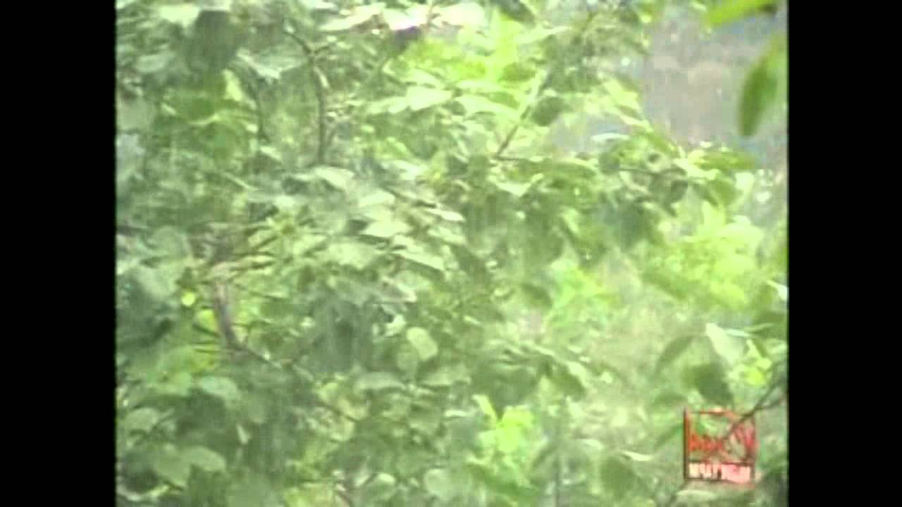 Mahmut Turan - Nanni Nanni (Resmi Video) (Tulum) ✔️