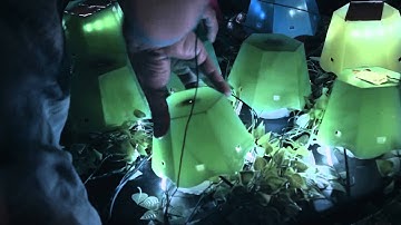 Digital Reboot: The opening video for session 2 of TEDGlobal 2014