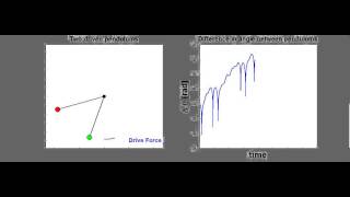 Simulation of two driven pendulums - Chaos