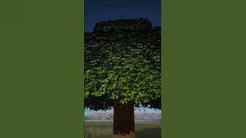 Minecraft RTX Tree #Shorts