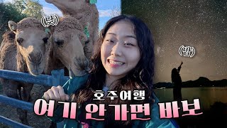 이러려고 내가 호주왔지,,✨ 호주인들은 다 안다는 브리즈번 여행 필수코스