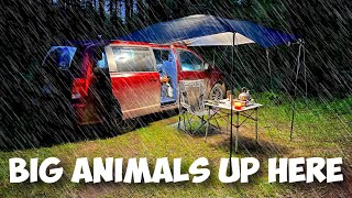 Solo Car Camping with Rain, I got Scared | Van Life